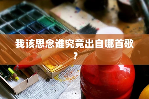 我该思念谁究竟出自哪首歌？
