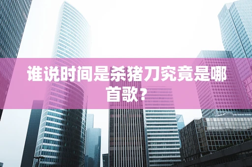 谁说时间是杀猪刀究竟是哪首歌？