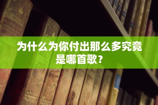 为什么为你付出那么多究竟是哪首歌？