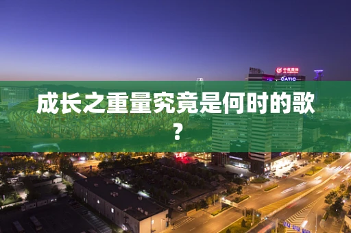 成长之重量究竟是何时的歌？