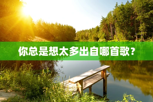 你总是想太多出自哪首歌？