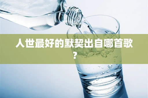 人世最好的默契出自哪首歌？