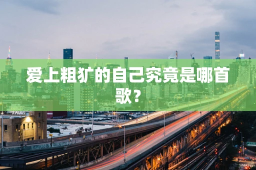 爱上粗犷的自己究竟是哪首歌？