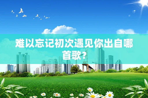 难以忘记初次遇见你出自哪首歌？