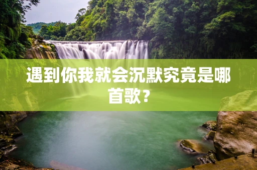 遇到你我就会沉默究竟是哪首歌？