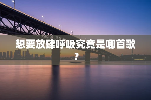 想要放肆呼吸究竟是哪首歌？