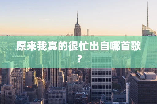 原来我真的很忙出自哪首歌？