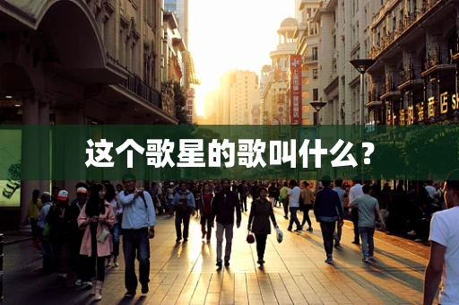 这个歌星的歌叫什么？