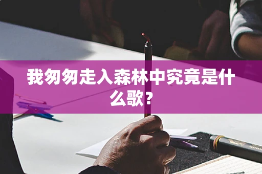 我匆匆走入森林中究竟是什么歌？