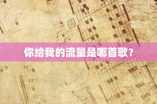 你给我的流量是哪首歌？