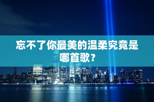 忘不了你最美的温柔究竟是哪首歌？
