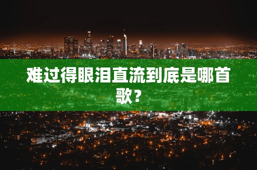难过得眼泪直流到底是哪首歌？