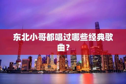 东北小哥都唱过哪些经典歌曲？