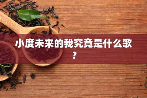 小度未来的我究竟是什么歌？