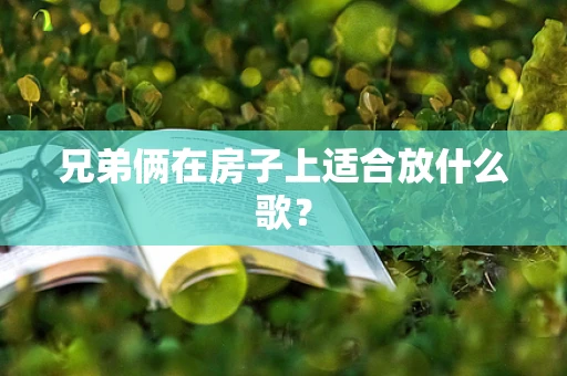 兄弟俩在房子上适合放什么歌？