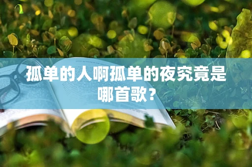 孤单的人啊孤单的夜究竟是哪首歌？