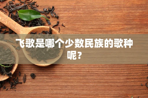 飞歌是哪个少数民族的歌种呢？
