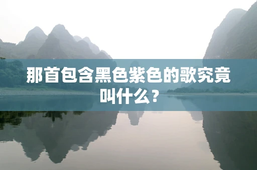 那首包含黑色紫色的歌究竟叫什么？