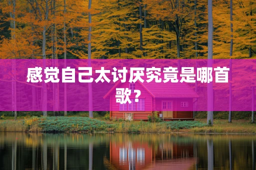 感觉自己太讨厌究竟是哪首歌？