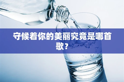 守候着你的美丽究竟是哪首歌？