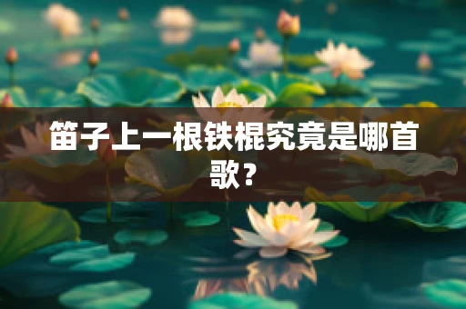 笛子上一根铁棍究竟是哪首歌？