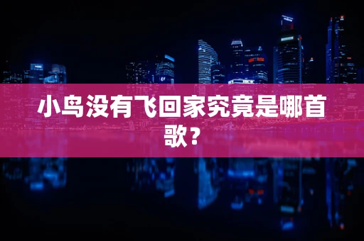 小鸟没有飞回家究竟是哪首歌？