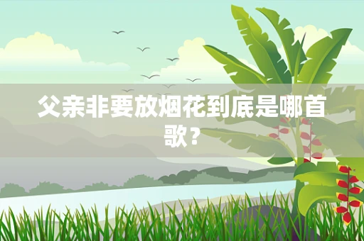 父亲非要放烟花到底是哪首歌？