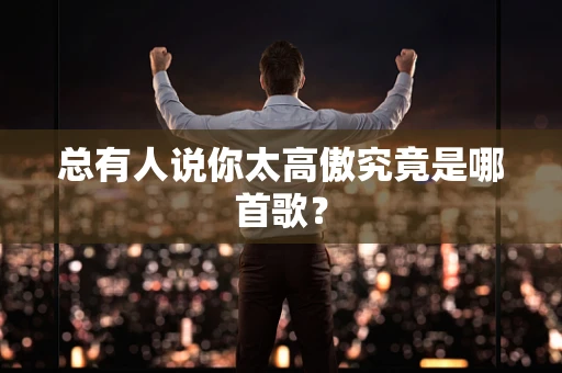 总有人说你太高傲究竟是哪首歌？