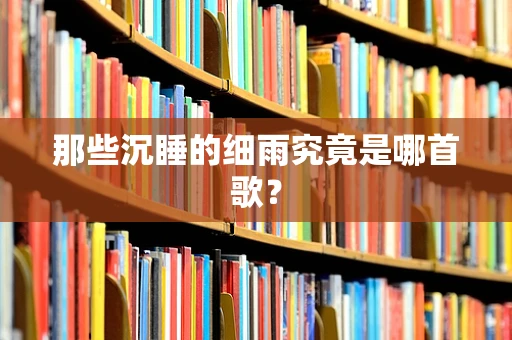 那些沉睡的细雨究竟是哪首歌？