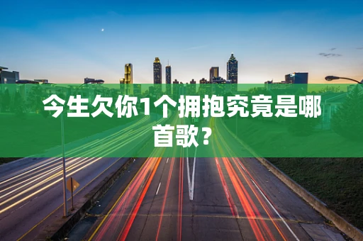 今生欠你1个拥抱究竟是哪首歌？