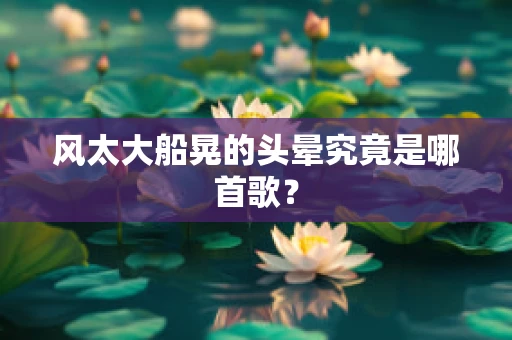 风太大船晃的头晕究竟是哪首歌？