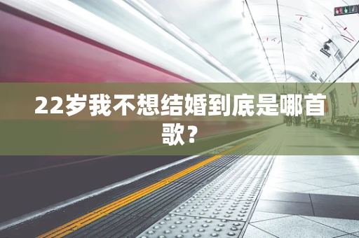 22岁我不想结婚到底是哪首歌？