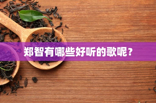 郑智有哪些好听的歌呢？