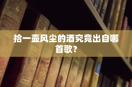 拾一壶风尘的酒究竟出自哪首歌？