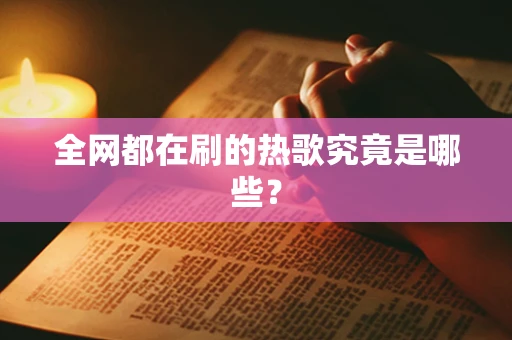 全网都在刷的热歌究竟是哪些？