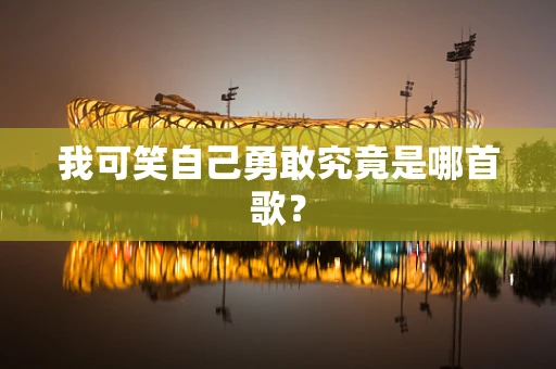 我可笑自己勇敢究竟是哪首歌？