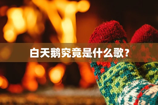 白天鹅究竟是什么歌？