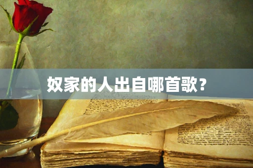 奴家的人出自哪首歌？