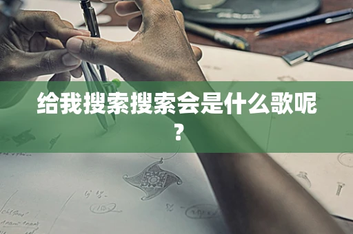 给我搜索搜索会是什么歌呢？