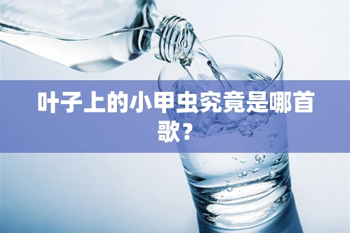 叶子上的小甲虫究竟是哪首歌？