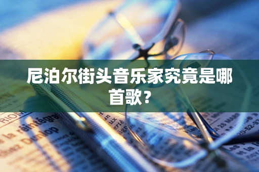 尼泊尔街头音乐家究竟是哪首歌？