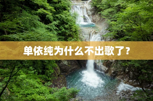 单依纯为什么不出歌了？