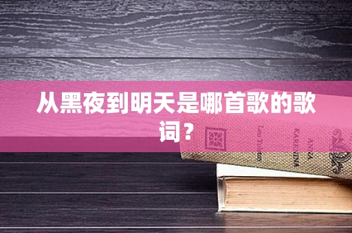 从黑夜到明天是哪首歌的歌词？