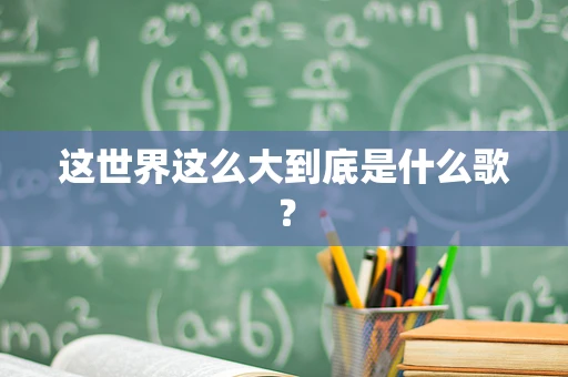这世界这么大到底是什么歌？