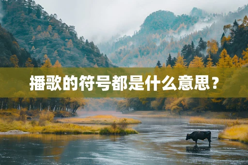 播歌的符号都是什么意思？