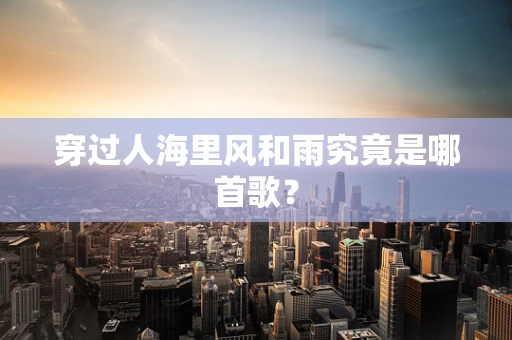 穿过人海里风和雨究竟是哪首歌？