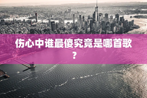伤心中谁最傻究竟是哪首歌？