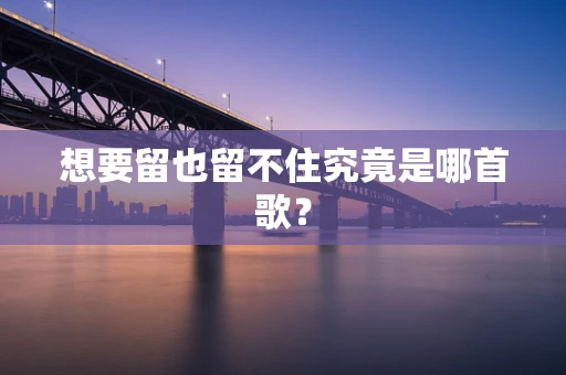 想要留也留不住究竟是哪首歌？