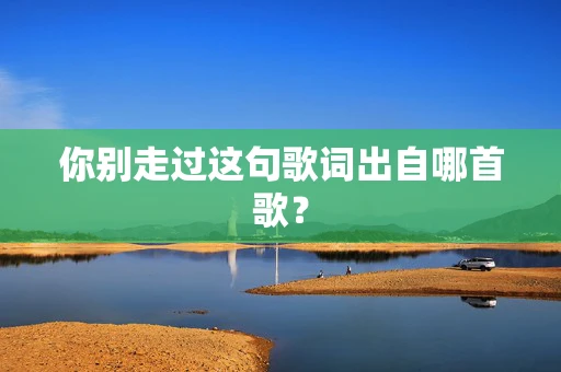 你别走过这句歌词出自哪首歌？