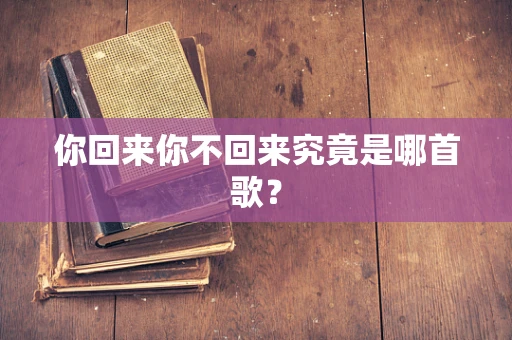 你回来你不回来究竟是哪首歌？